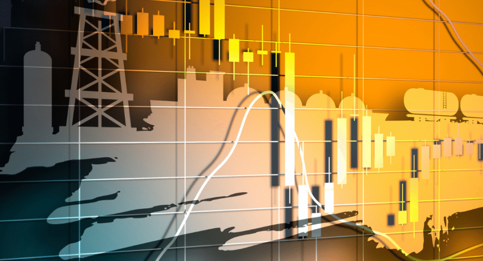 elektros biržos kaina