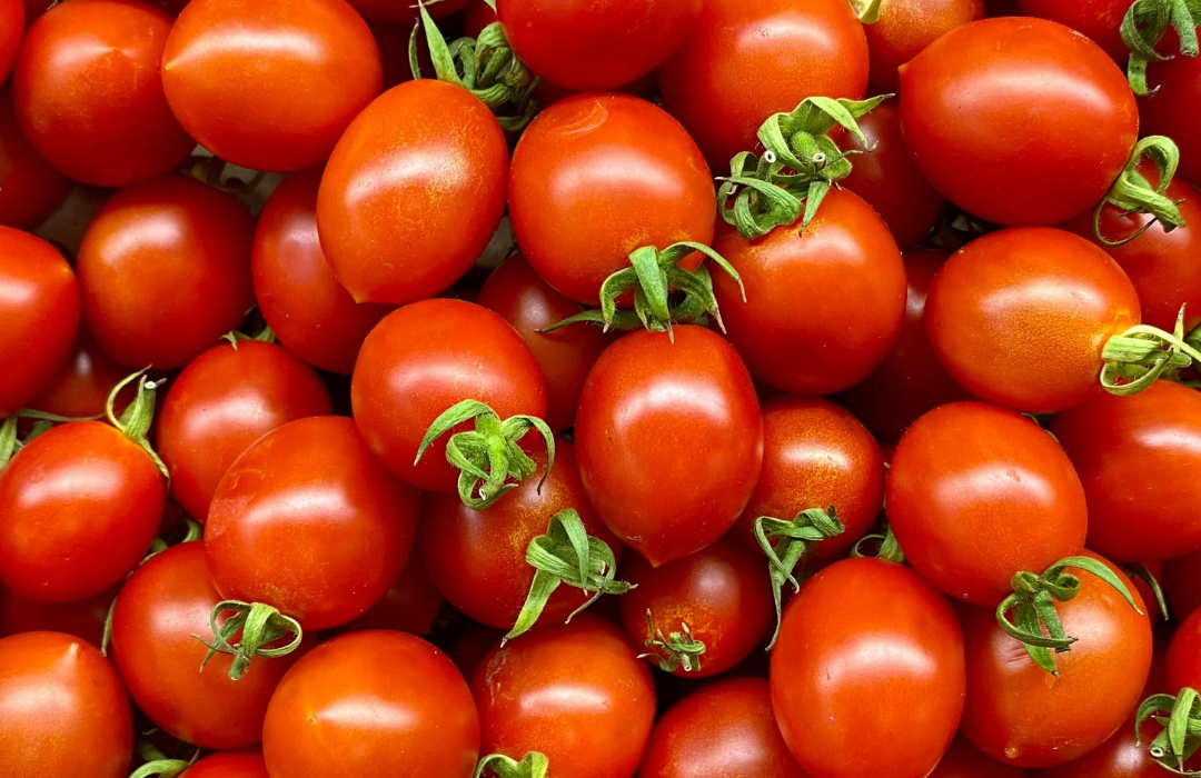 pomidorai
