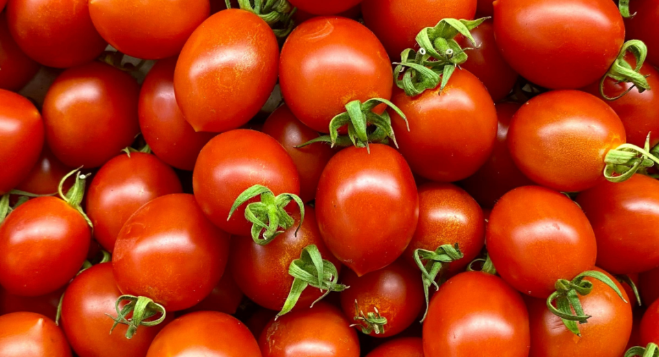pomidorai