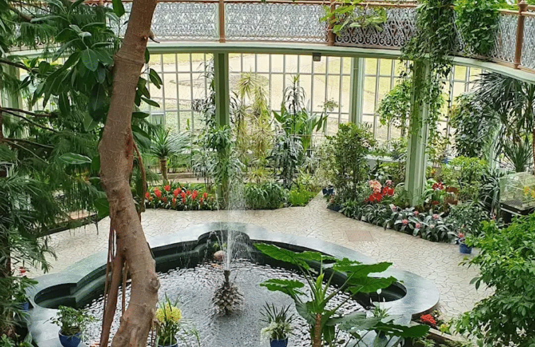 Kretingos žiemos sodas