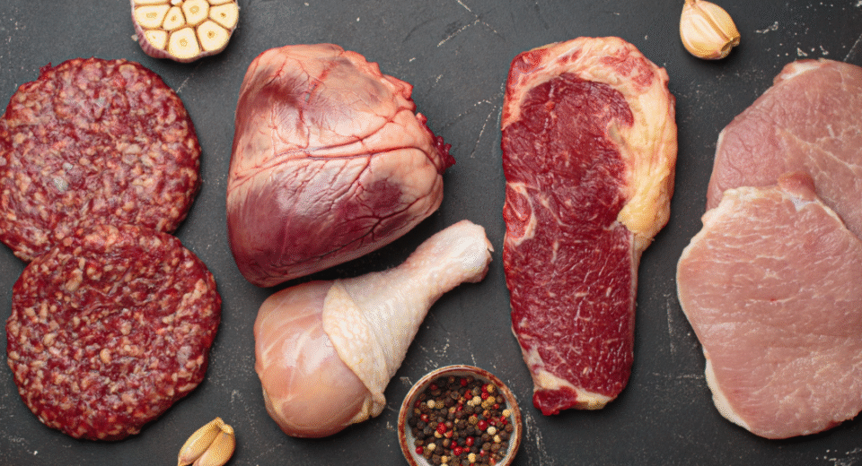 carnivore mityba
