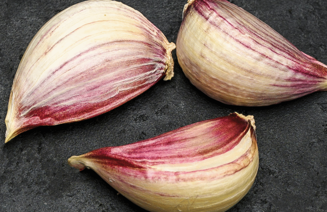 žieminiai česnakai