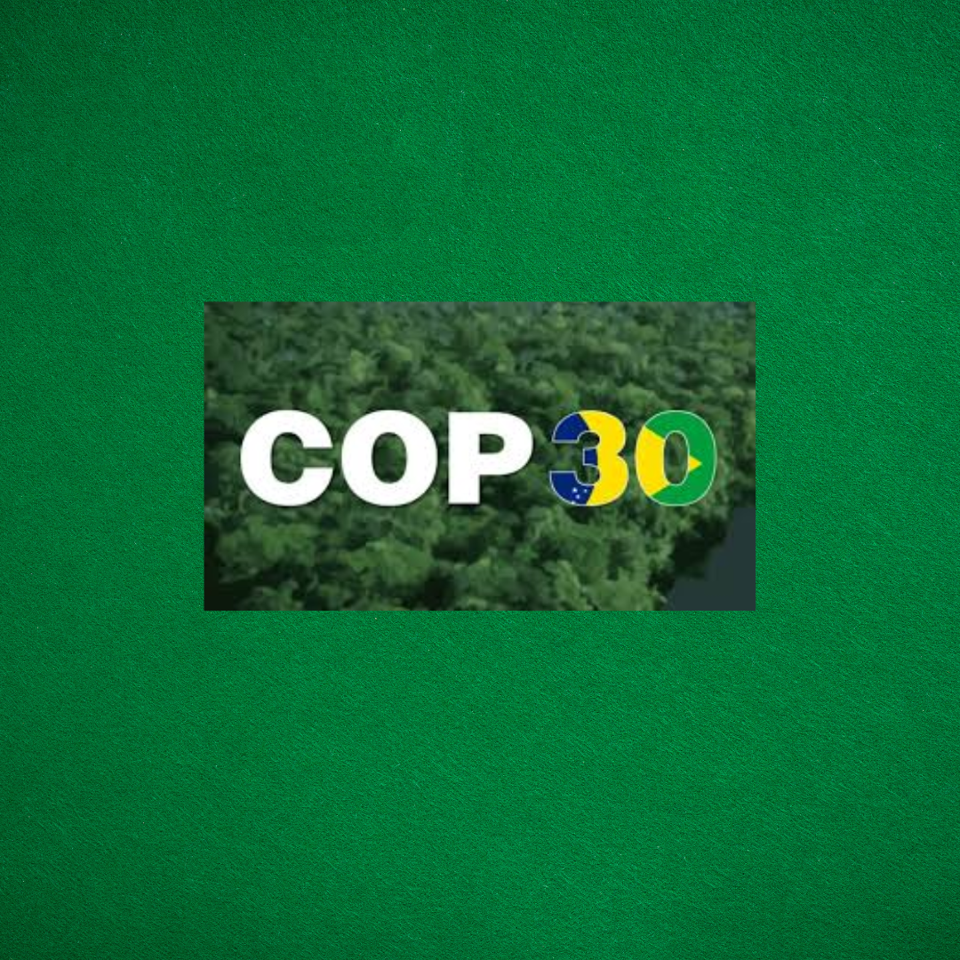 COP30 klimato konferencija Brazilijoje: pasaulis laukia konkretaus plano pereiti nuo iškastinio kuro 3 COP30 klimato konferencija