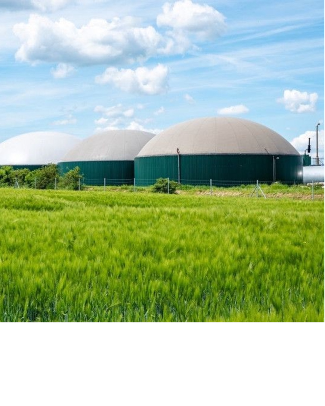 Maisto atliekos virsta biometanu: Lietuvoje pradedamas naujas žiedinės energetikos etapas 7 biometanu