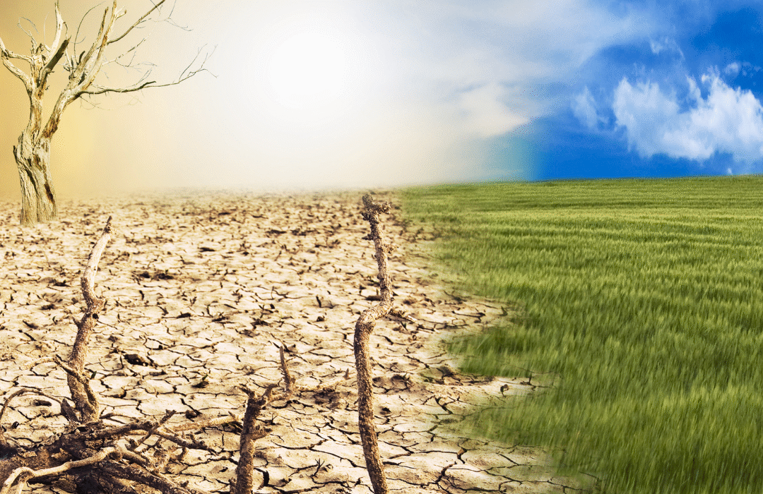 kova su klimato kaita