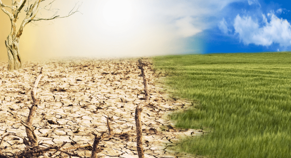 kova su klimato kaita