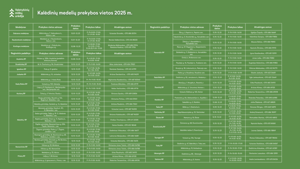 Parsinešk Kalėdas į savo namus