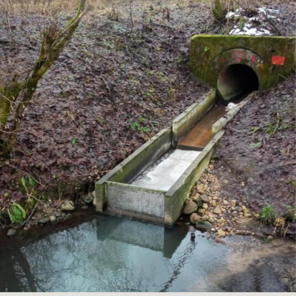 teršalų viršijimai