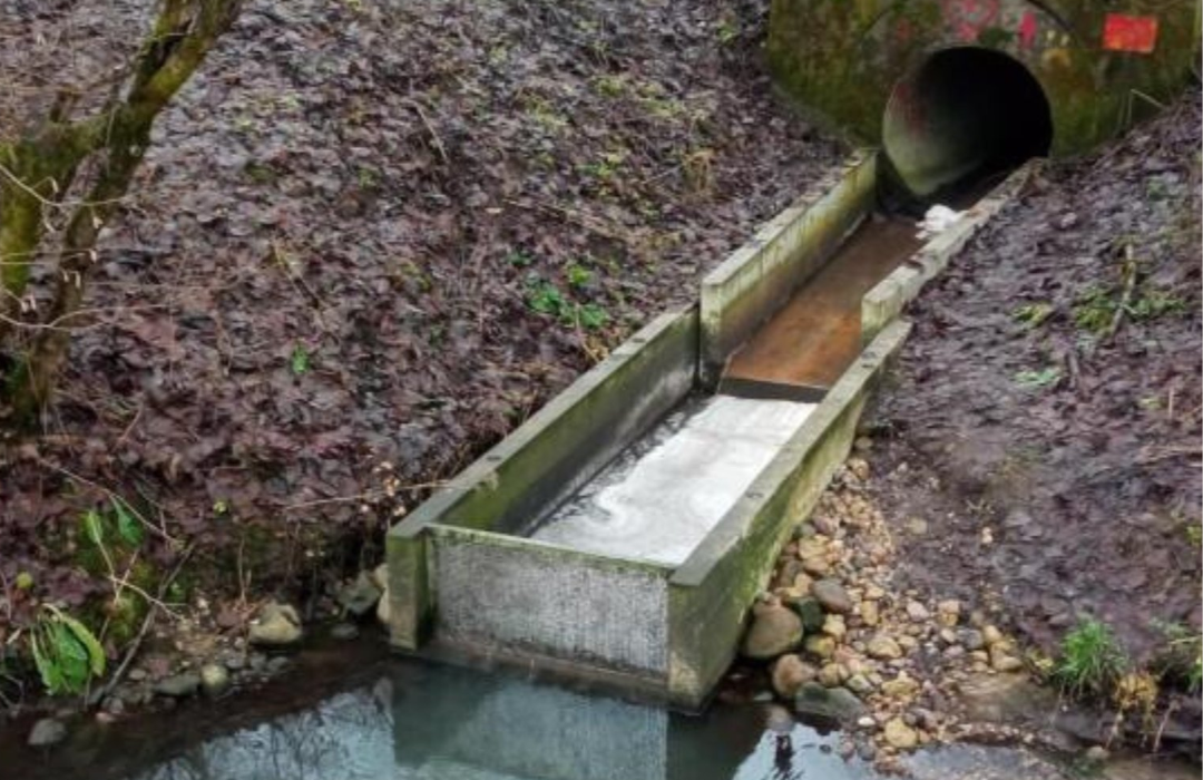 teršalų viršijimai