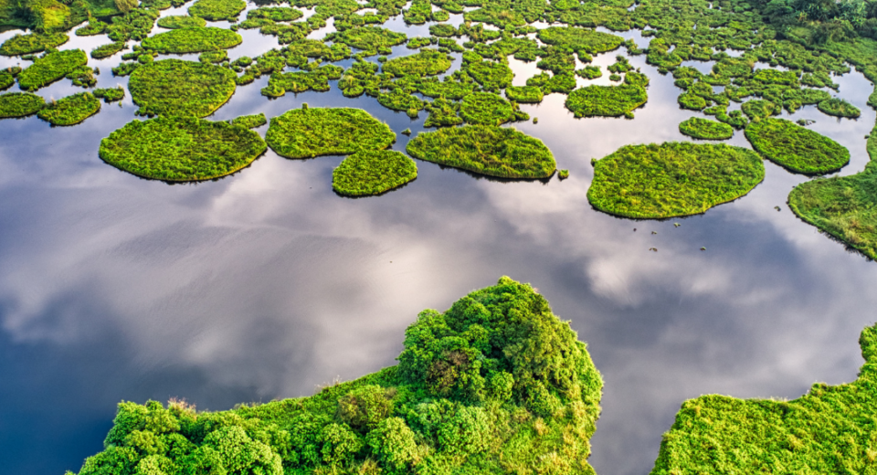 Žalieji ežerai: gamtos perlas Vilniuje, traukiantis tiek poilsiautojus, tiek ekologijos mylėtojus 7 žalieji ežerai