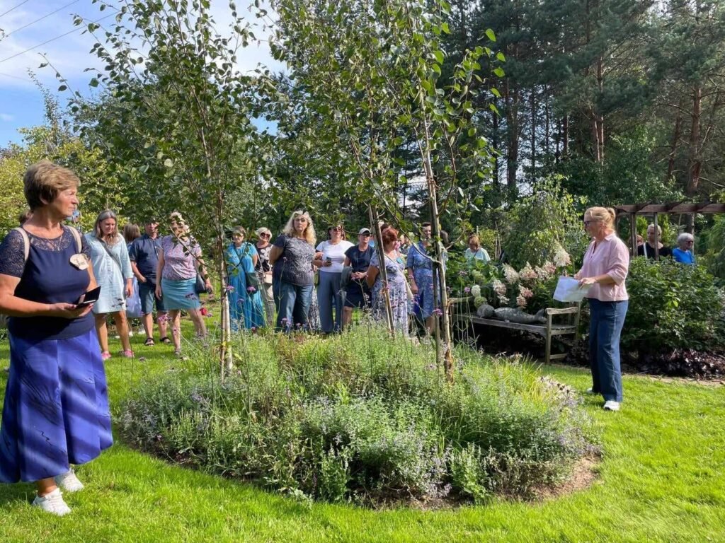 Sodas be taisyklių: Jurgita Sėjūnaitė apie drąsą kurti savo žaliąją erdvę 4 Sodo kūrimo