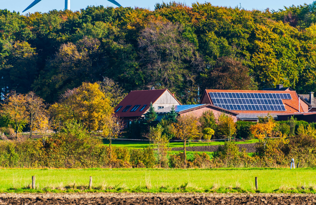 Žodžio „tvarus“ reikšmė: kaip teisingai suprasti ir vartoti šią sąvoką 1 Žodžio „tvarus“ reikšmė