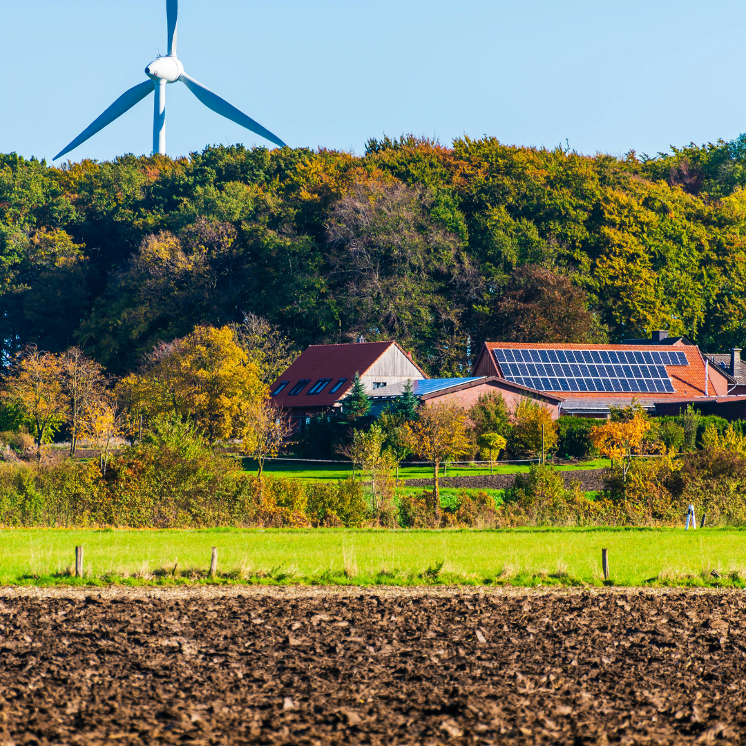 Žodžio „tvarus“ reikšmė