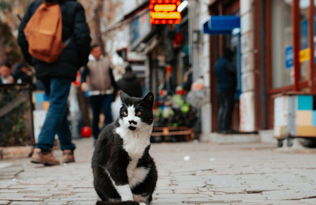Nauja poveikio aplinkai vertinimo tvarka: daugiau aiškumo, mažiau biurokratijos 1 aplinkai