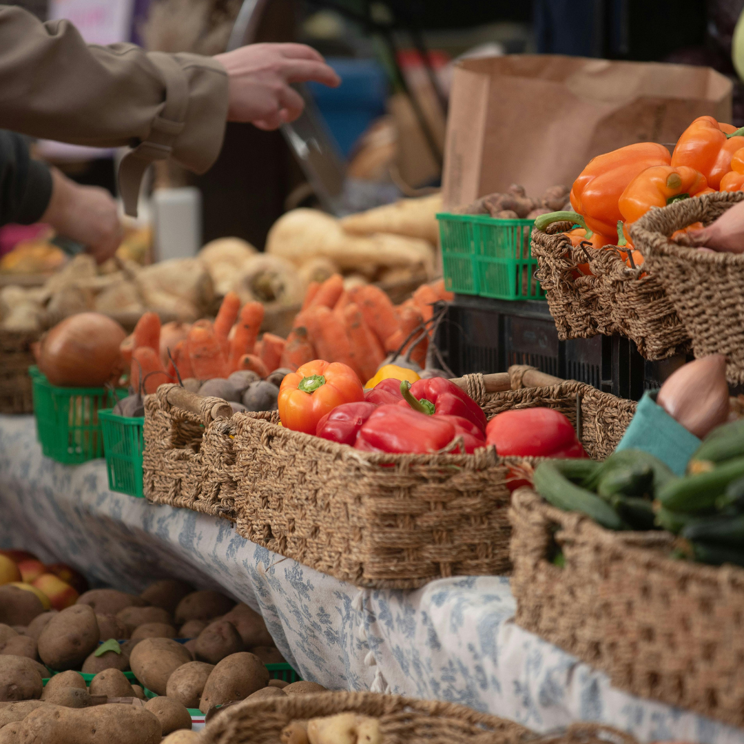 jauniesiems ūkininkams