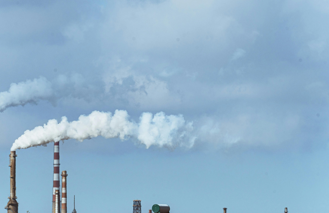 kova su klimato kaita​