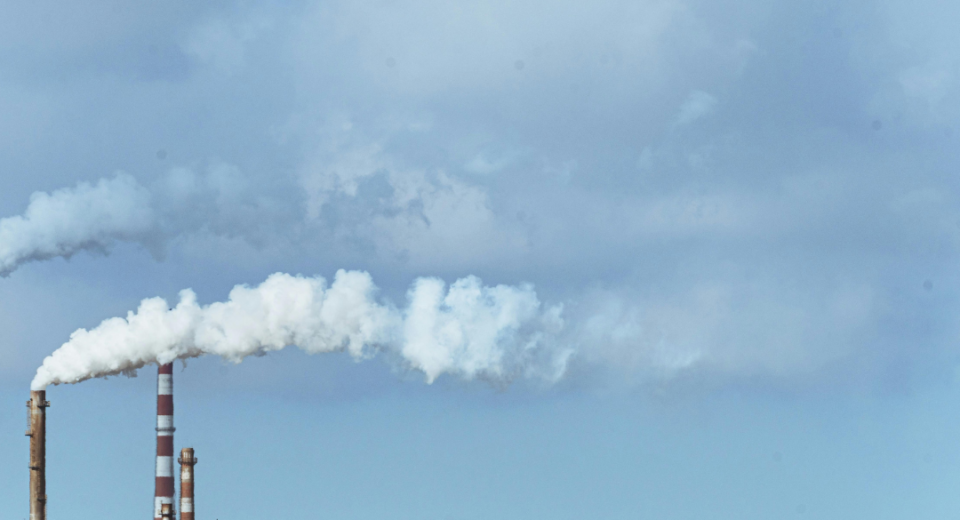 Kova su klimato kaita: kodėl tai svarbiausias XXI amžiaus iššūkis 10 kova su klimato kaita