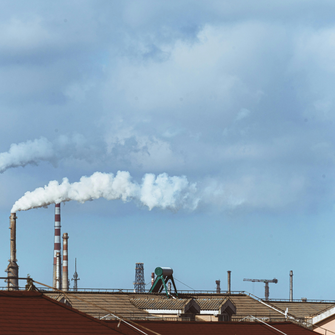 kova su klimato kaita​