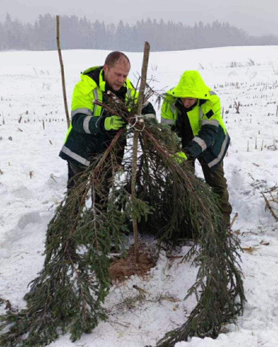 kurapku-sleptuve-miskininkai
