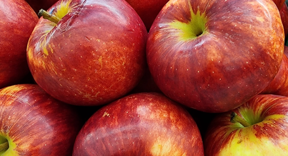 Europos obuoliai užteršti „pesticidų kokteiliais“ – tyrimas kelia rimtų klausimų dėl rizikos vertinimo 1 obuoliai užteršti