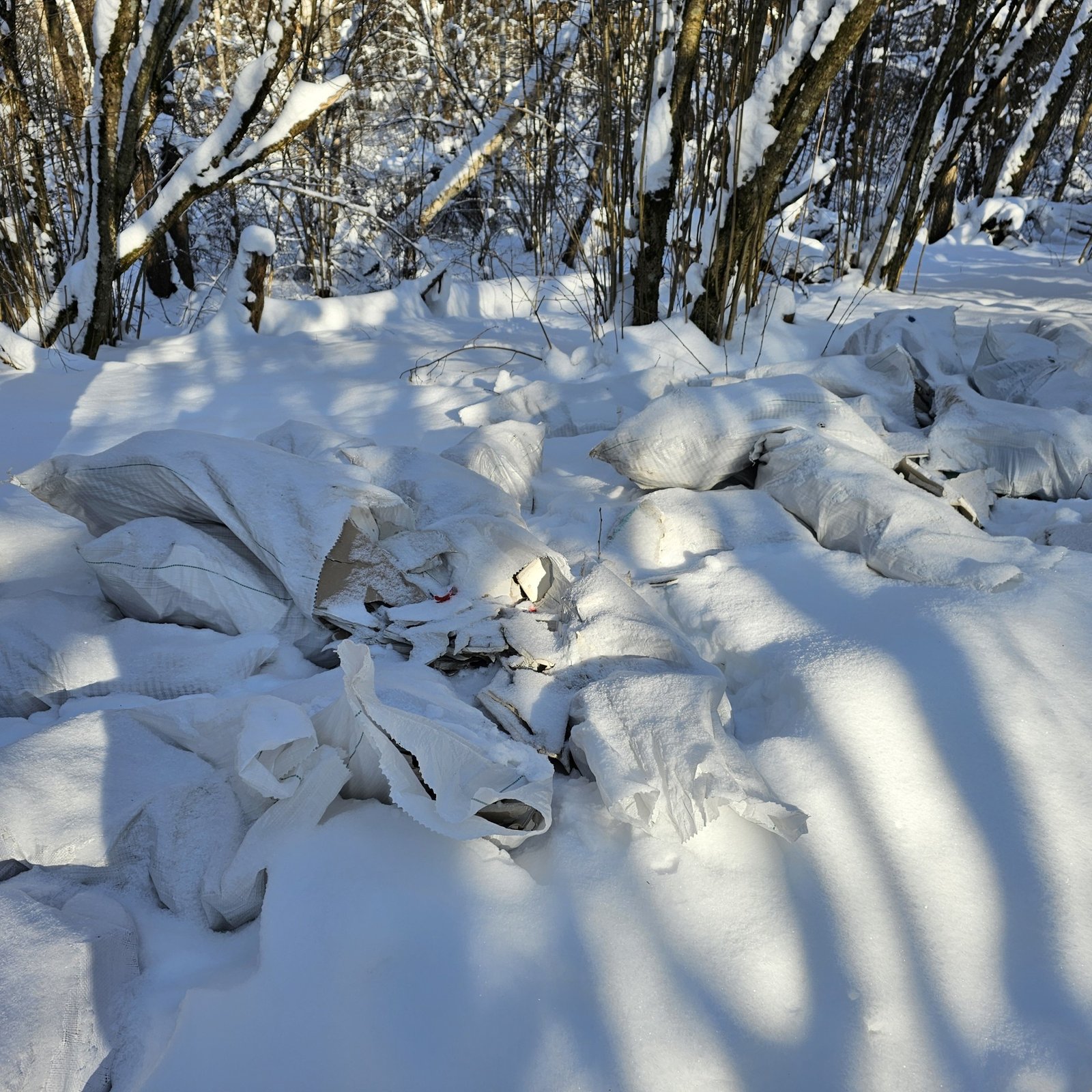 statybinės atliekos