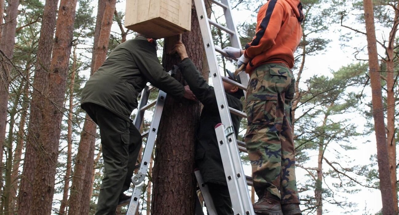 Namai sugrįžtantiems paukščiams: ką reikia žinoti prieš keliant inkilus 1 Inkilai