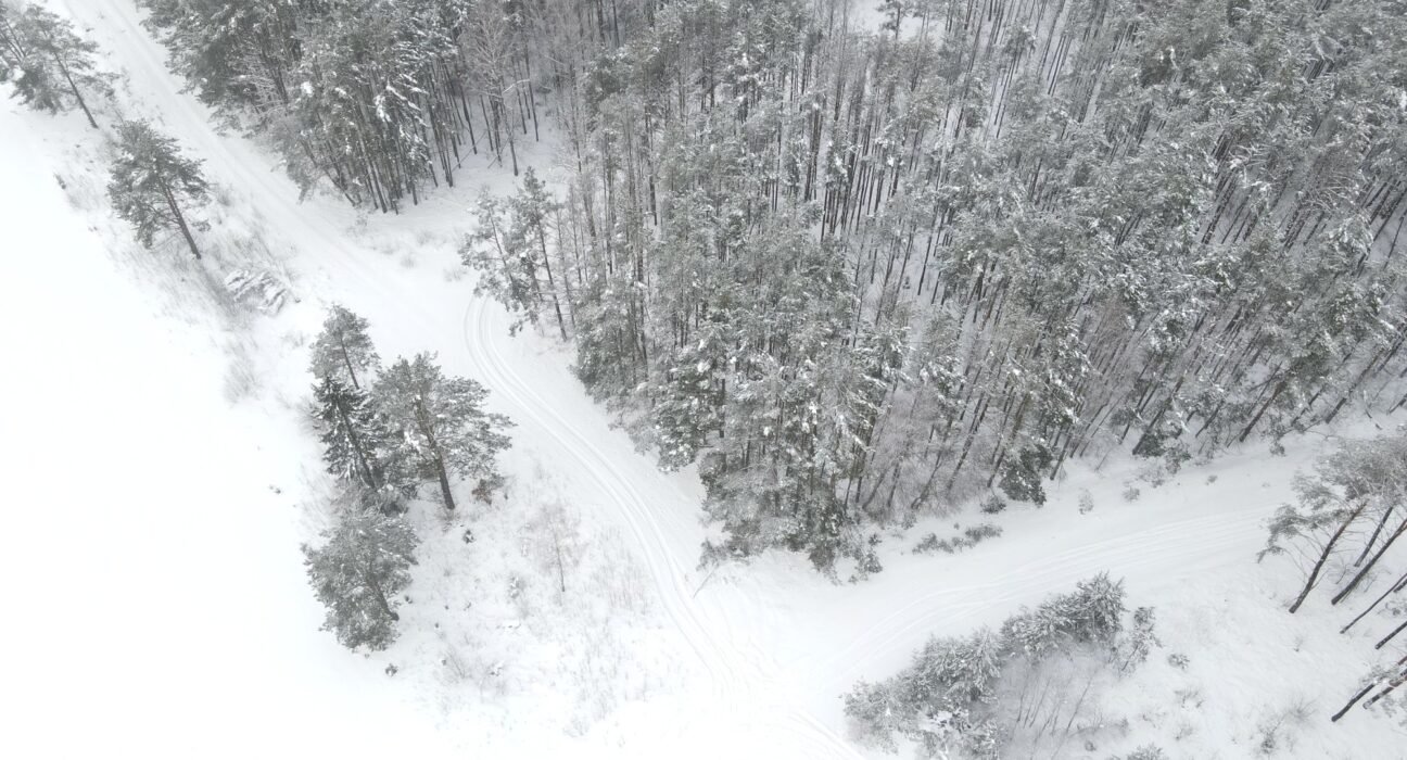 Artėjant naujiems miško kirtimų ribojimams, 2025 m. Lietuvoje fiksuotas rekordinis vidinės miškotvarkos projektų šuolis 1 miško kirtimų