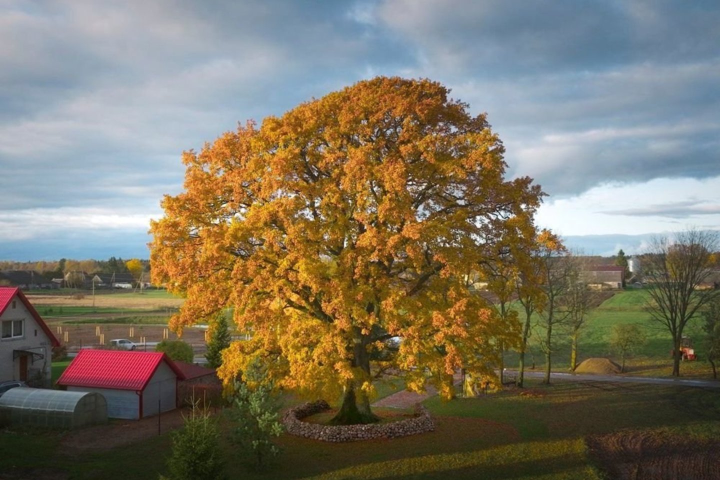 205610432 12bb753f 31f6 4f58 9f89 bd6f307a2c37