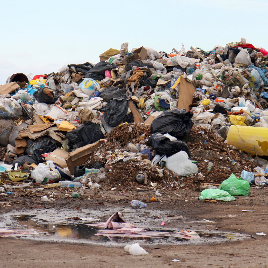 Kazokiškių sąvartyne