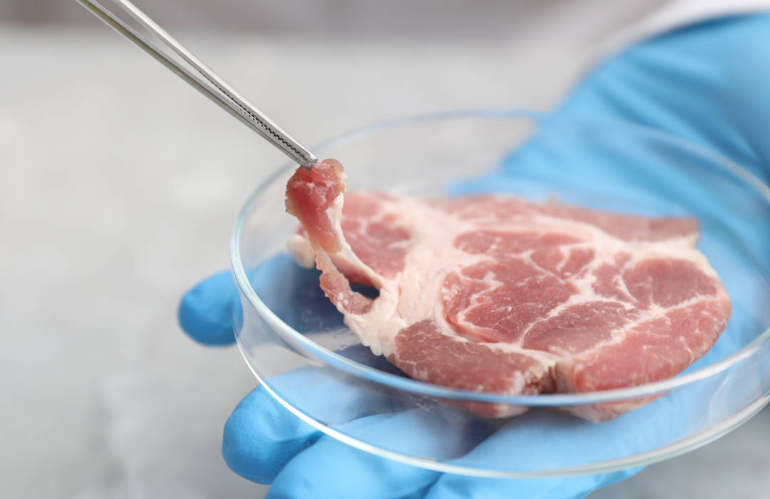 Laboratorijoje užauginta mėsa
