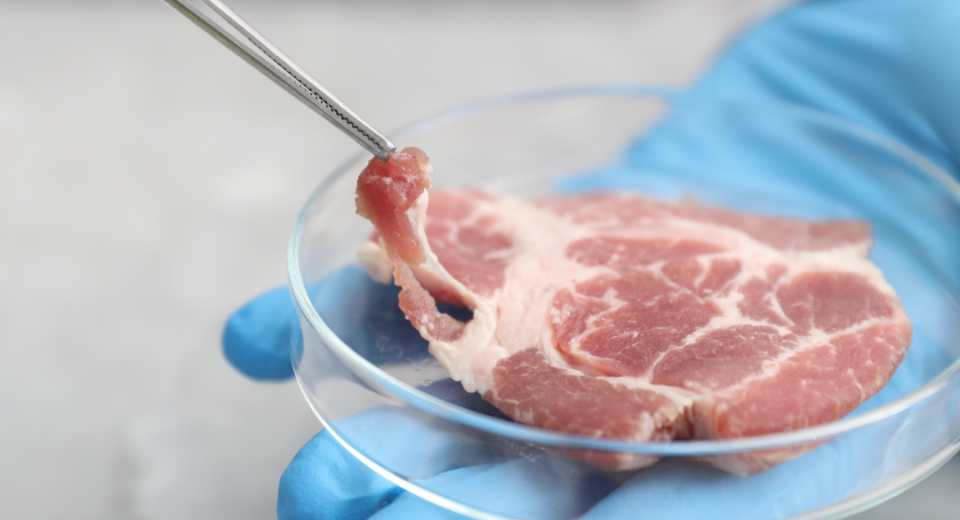 Laboratorijoje užauginta mėsa