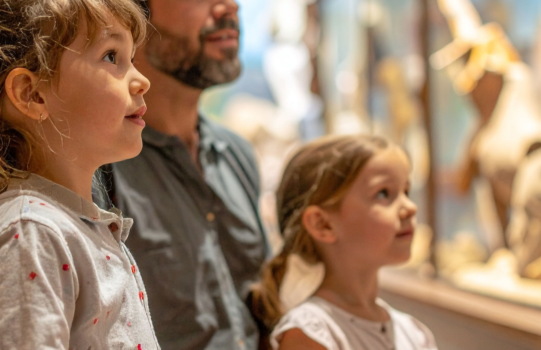 Lietuvos zoologijos sodas – sugrįžimas į Europos zoologijos elitą