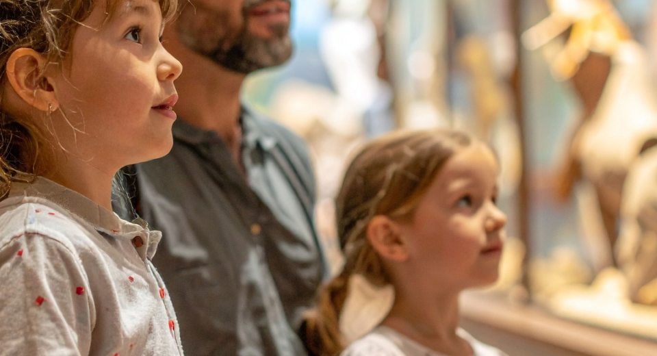 Lietuvos zoologijos sodas – sugrįžimas į Europos zoologijos elitą