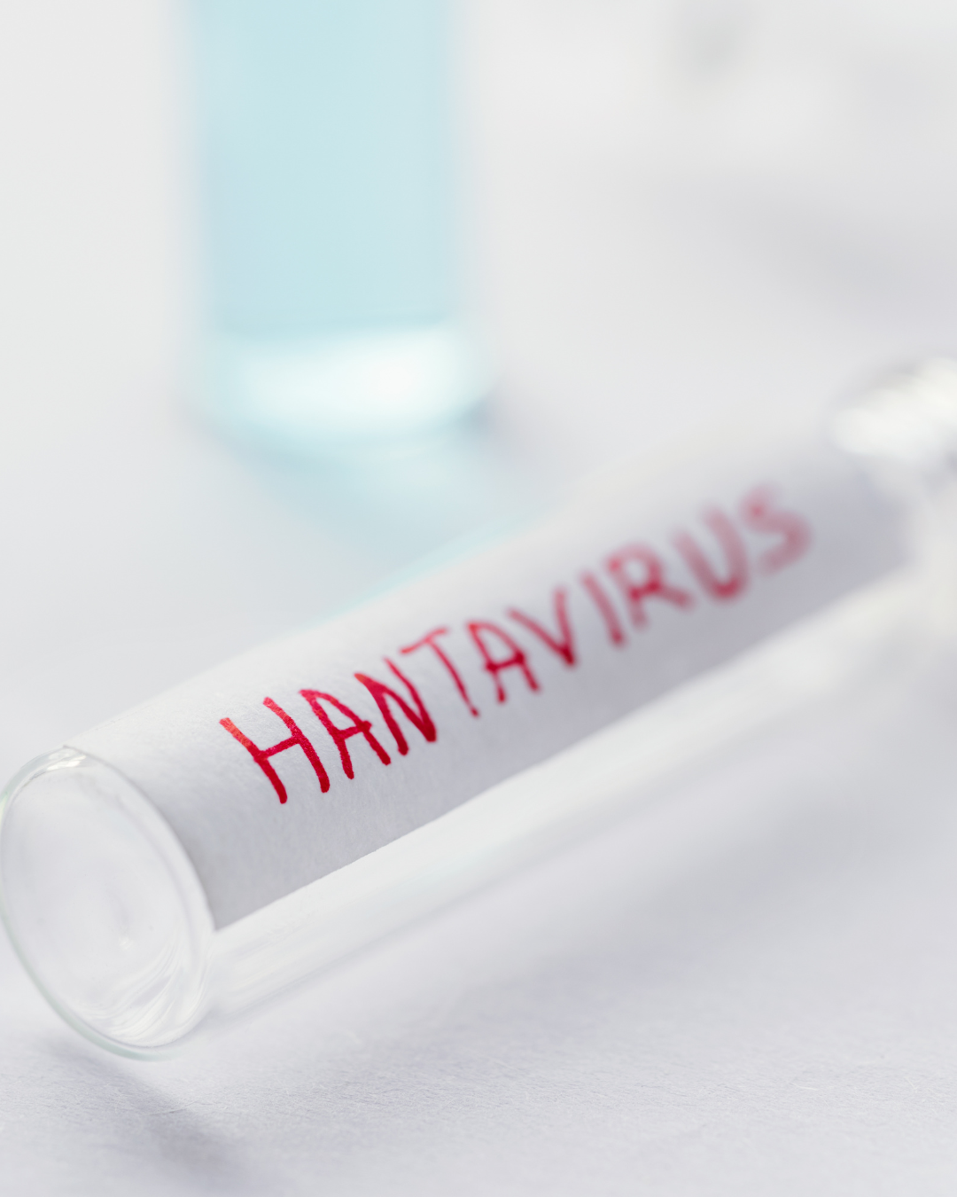 hantavirusas